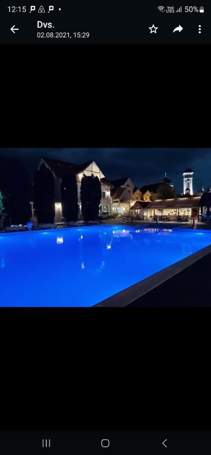 Готель Pension Aquaris Сігішоара Екстер'єр фото