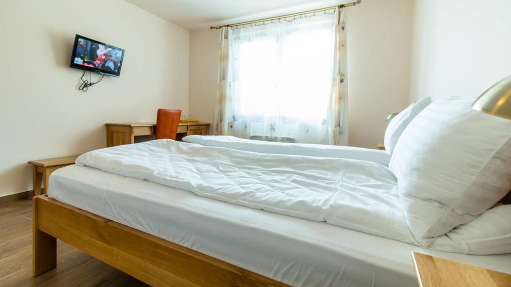 Готель Pension Aquaris Сігішоара Екстер'єр фото